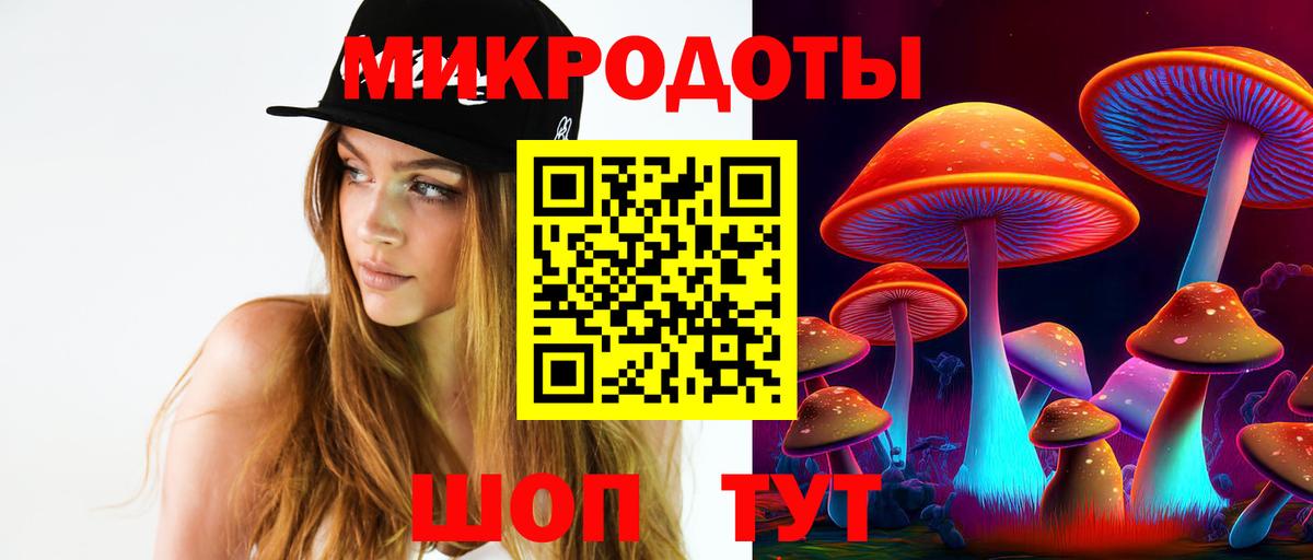 Псилоцибиновые грибы мухоморы Ленинск-Кузнецкий