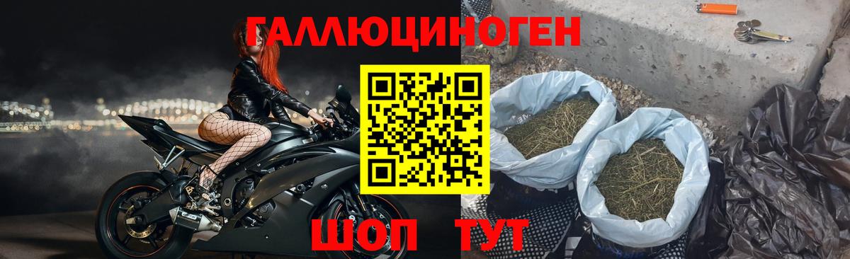 Ленинск-Кузнецкий  хочу   Вход с VPN  Псилоцибиновые грибы мухоморы 